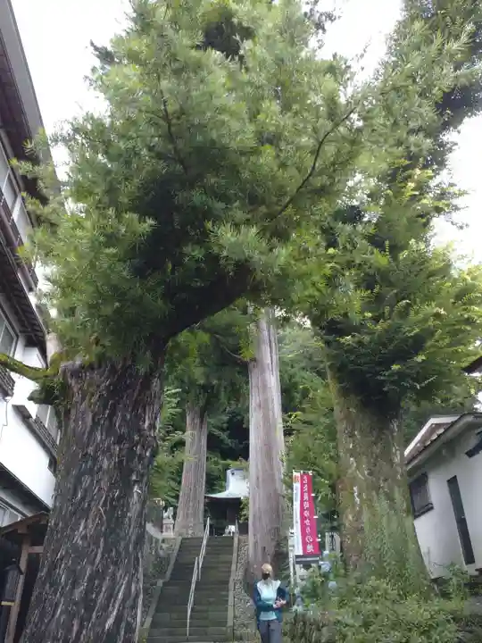 日枝神社(静岡県)