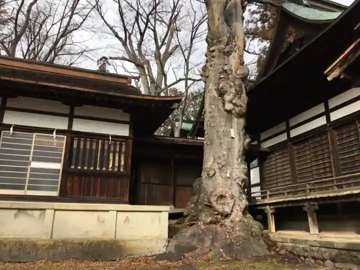 妻科神社のその他建物