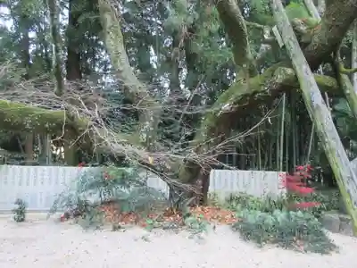 三角寺(愛媛県)