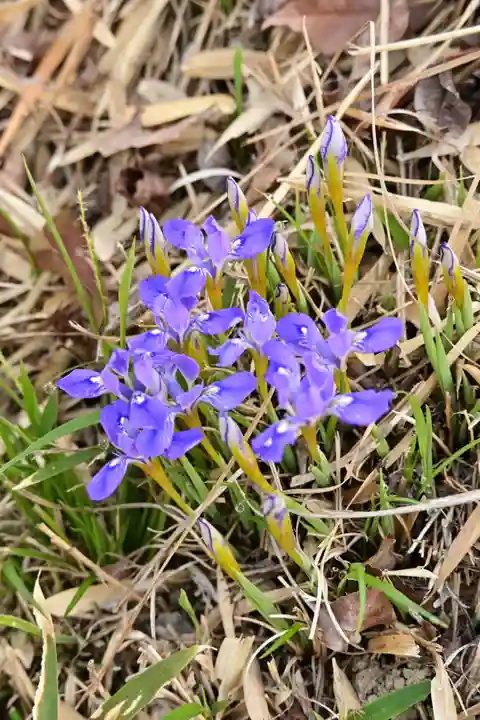 鎌大師堂(愛媛県)
