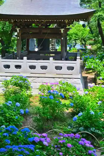 妙楽寺(神奈川県)