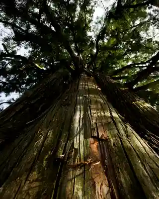 戸隠神社中社(長野県)