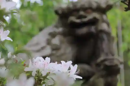 豊景神社の庭園