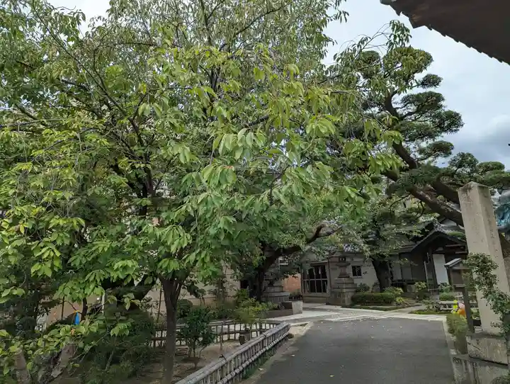 墨染寺(桜寺)(京都府)