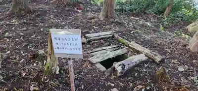 即身仏 明海上人御堂(山形県)