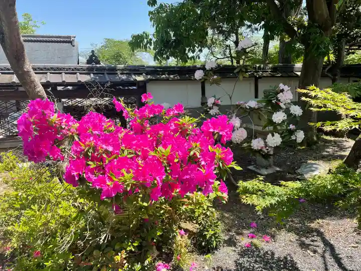 三尾神社の自然