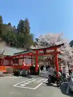 金櫻神社(山梨県)