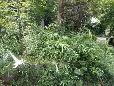 報徳二宮神社(神奈川県)