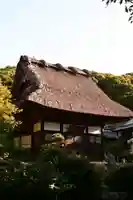 泉福寺(大分県)