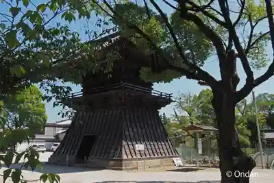 大樹寺（松安院大樹寺）(愛知県)