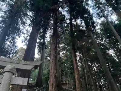 大宮温泉神社(栃木県)