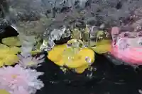 大鏑神社の手水舎