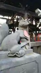 浅草神社の狛犬