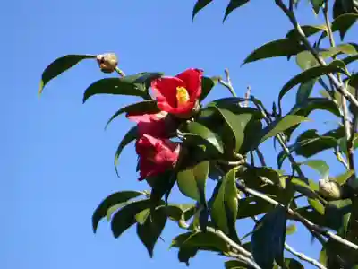 中領八幡宮(山口県)