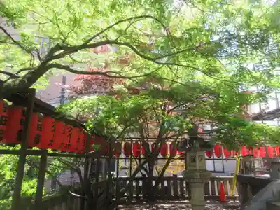 市谷亀岡八幡宮(東京都)