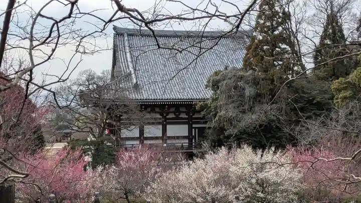 智積院(京都府)