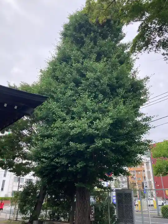 町屋神社(神奈川県)