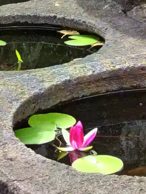 宝仙寺(東京都)