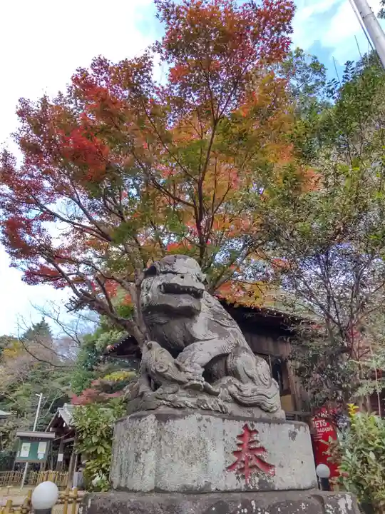畑子安神社の狛犬