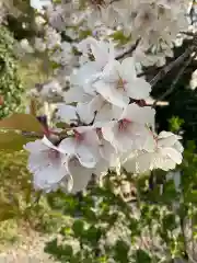 天台宗　長窪山　正覚寺の自然