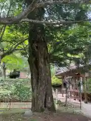 玉龍寺(岐阜県)