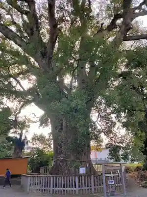 伊勢神明社(静岡県)