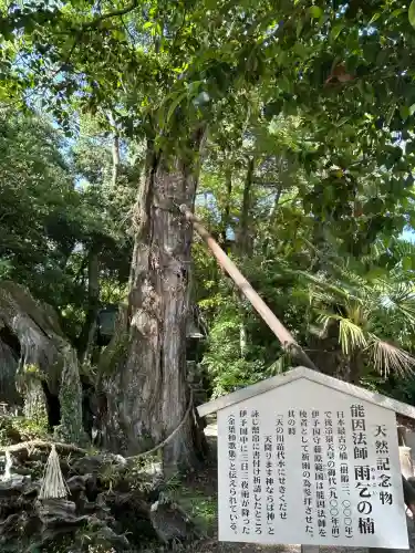大山祇神社(愛媛県)
