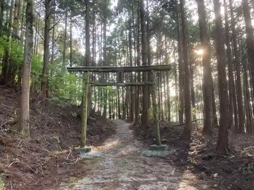 立岩神社の鳥居