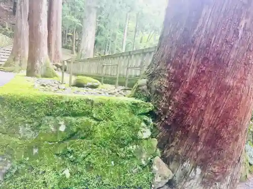 久遠寺の自然