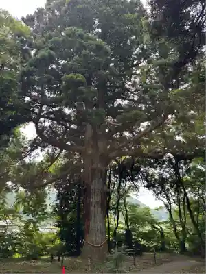 白河神社(福島県)