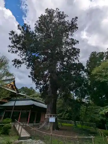 志波彦神社・鹽竈神社(宮城県)
