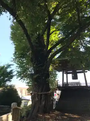 北向観音(長野県)