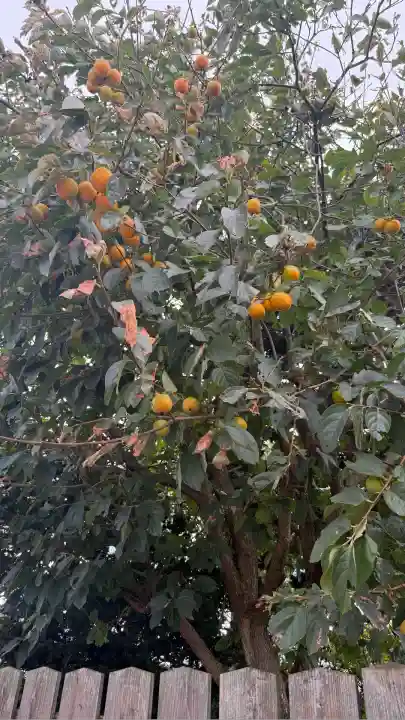 七重浜海津見神社(北海道)
