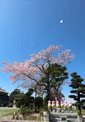 光明寺(静岡県)