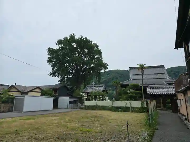 了徳寺(滋賀県)