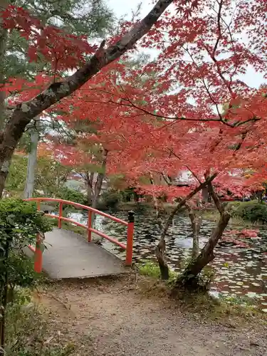 大原野神社の庭園