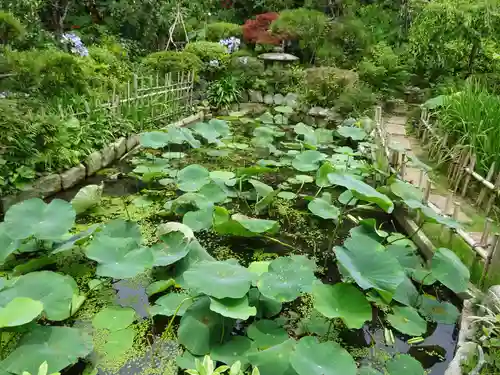 能蔵院の庭園