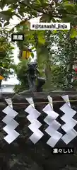 田無神社の狛犬