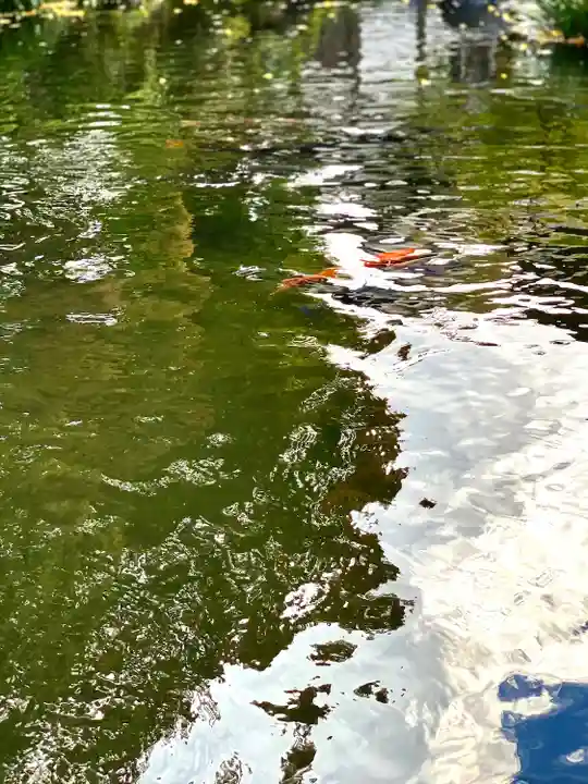 温泉寺(長野県)