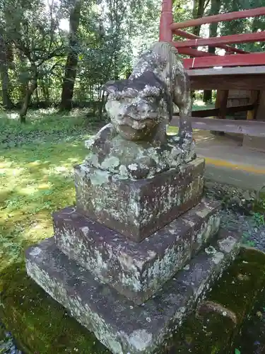 椋神社の狛犬