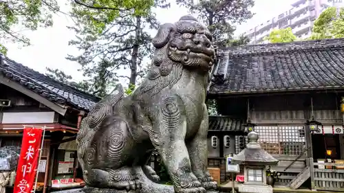 菅生神社の狛犬