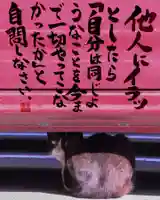 専念寺(大阪府)