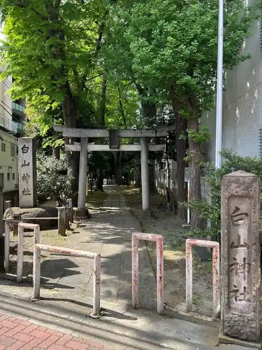 荻窪白山神社の鳥居