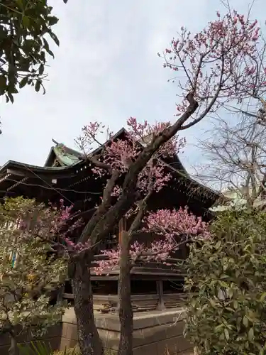 桜神宮(東京都)