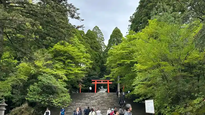 霧島神宮(鹿児島県)