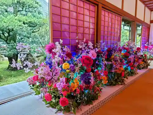 隨心院（随心院）(京都府)