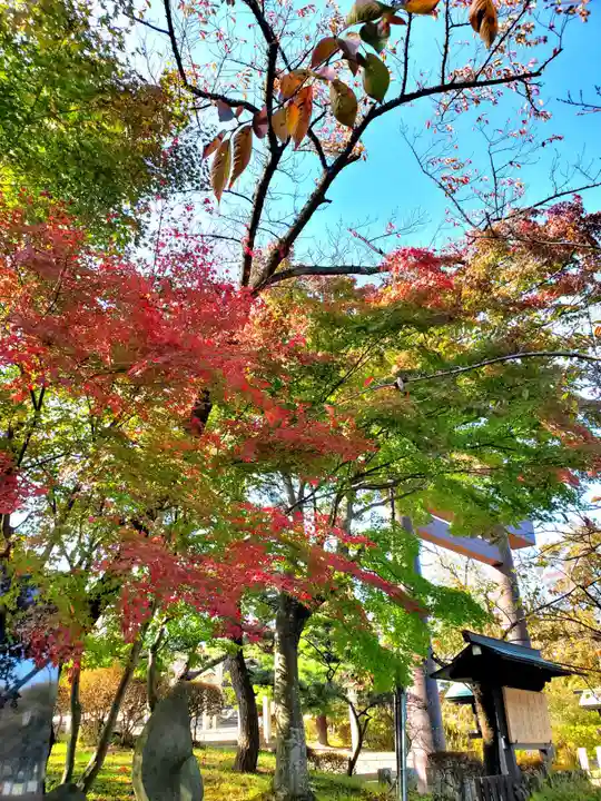 開成山大神宮の自然