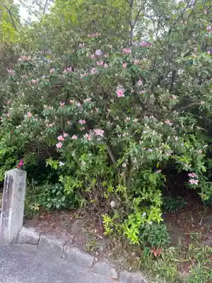 伊賀八幡宮(愛知県)
