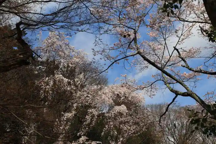 三春大神宮の庭園