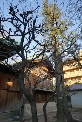 岩淵八雲神社の自然